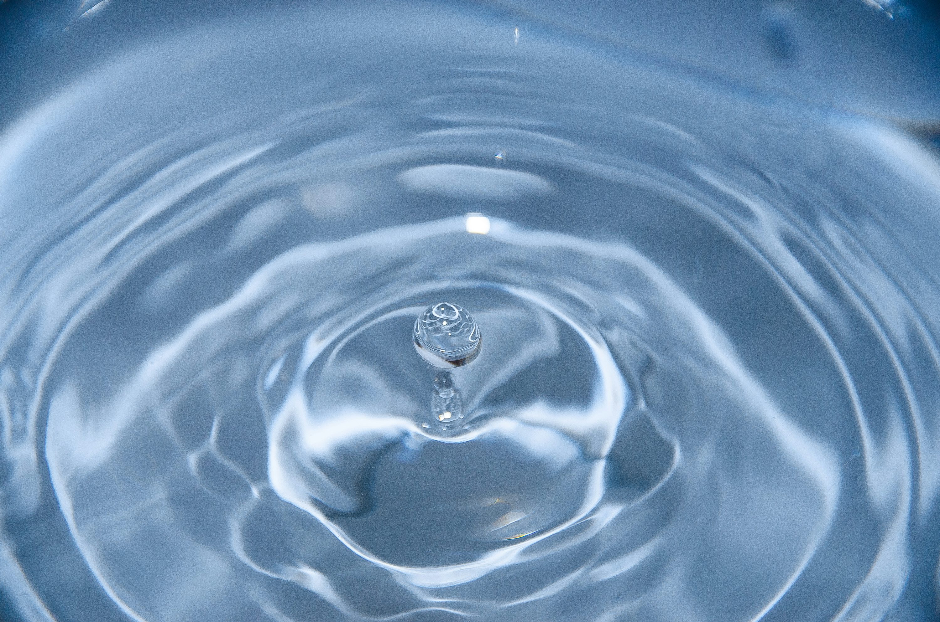Blog 9: Personal Peace Procedure